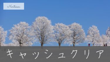 【5分で解決】Xserverのキャッシュを確実にクリアする方法まとめ