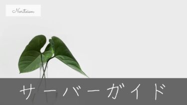【最新版】初心者が迷わず選べるおすすめサーバー｜失敗しない決定版ガイド