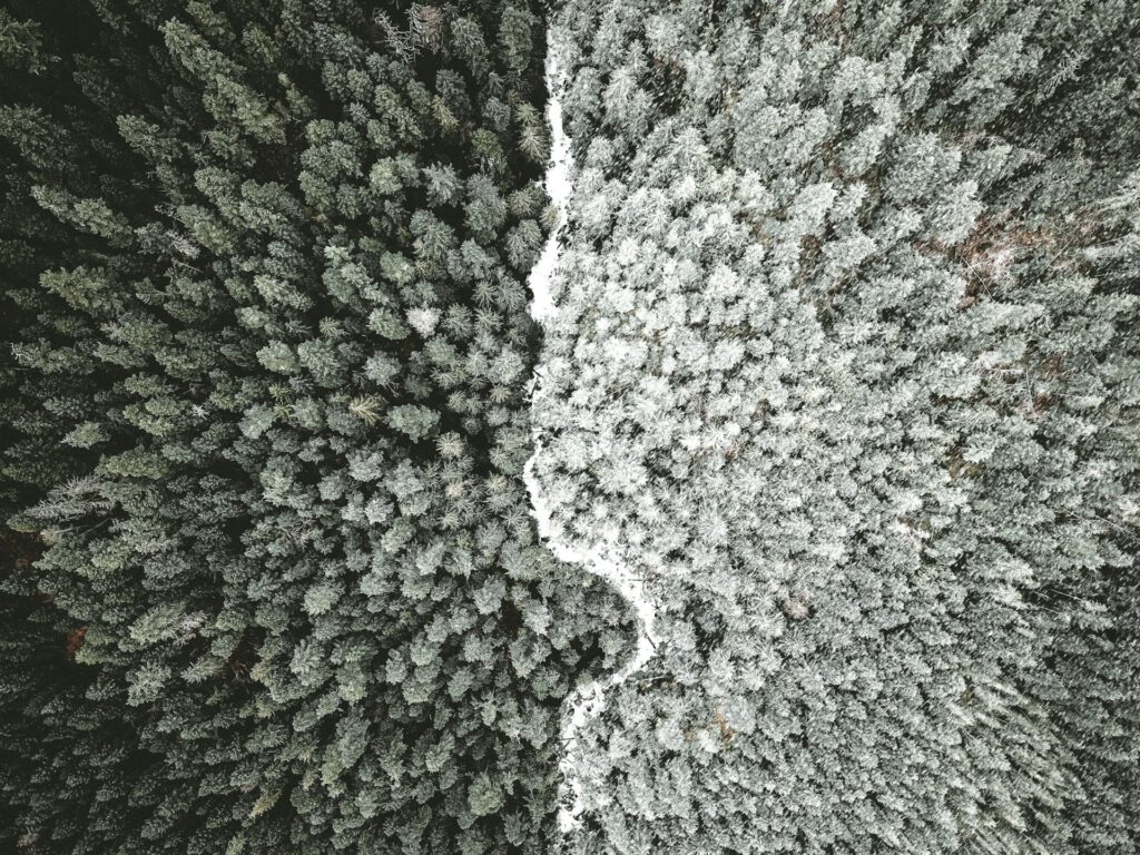 切り替え