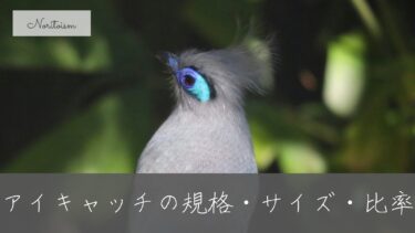 【比較表あり】WordPressアイキャッチの規格・サイズ・比率｜迷ったらこの1つ